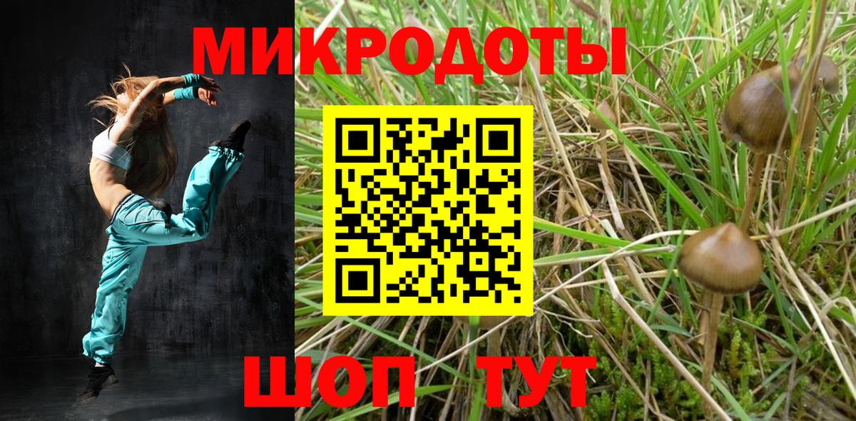 Псилоцибиновые грибы мицелий Великие Луки